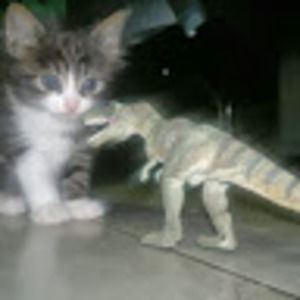 Meet your Posher, Rebecca